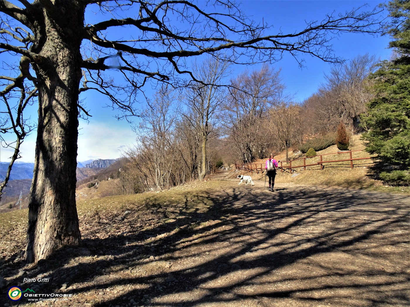 77 Rientriamo alla Forcella Alta dalla strada .JPG